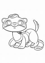 Coloring Pages Lps Ferret Pet Shop Furet Littlest Dessin Footed Colorier Coloriage Cat Imprimer Printable Animals Para Getcolorings Drawing Ferrets sketch template