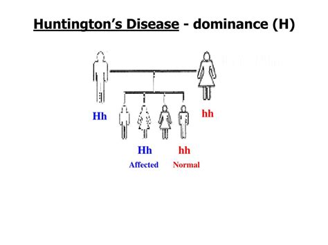 Ppt Human Genetics Powerpoint Presentation Free Download Id 6009029
