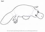 Platypus Drawing Step Draw Tutorials Drawingtutorials101 Animals Adding Finishing Required Touch Complete Wild sketch template