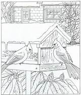 Coloring Nature Pages House Bird Adult Natuur Kleurplaten Birds Kids Cardinals Around Christmas Colouring Fun Kleurplaat Adults Color Feeder Books sketch template