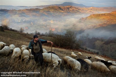 romanian sheep herder mitchell kanashkevich travel photography