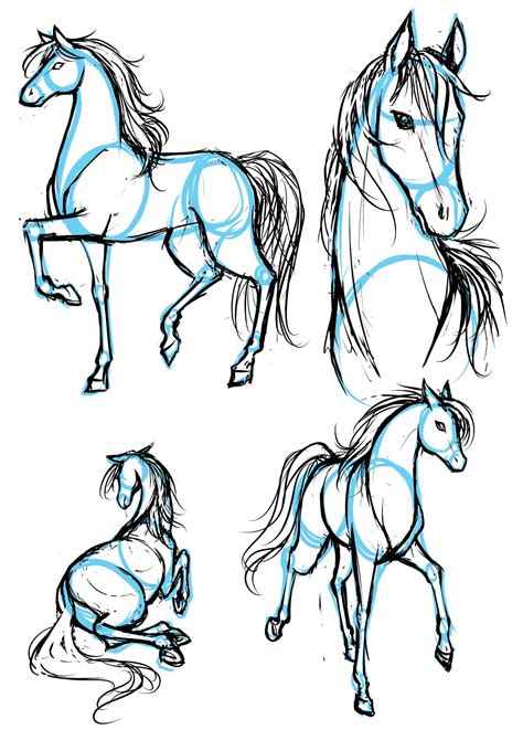 horse drawing ideas step  step delicate cloudlet