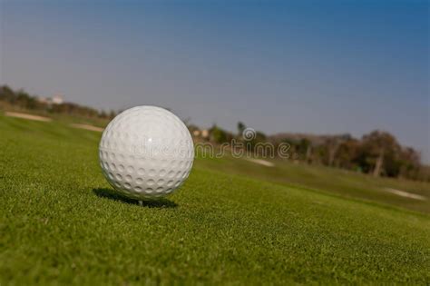golfbal op  stuk van streek met de achtergrond van de golfcursus stock afbeelding image