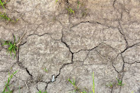 soil degradation   prevention al ard alkhadra home
