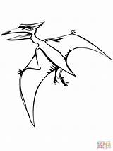 Pteranodon Volador Colorare Pteranodonte Dinosauri Disegni Ausmalbild Kleurplaat Reptil Vliegende Reptiles Volanti Dinosaur Dinosaurus Bambini Dinosaurs Reptile Ausdrucken Volante sketch template