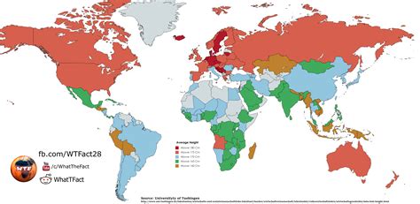 Средний рост людей Карта Люди