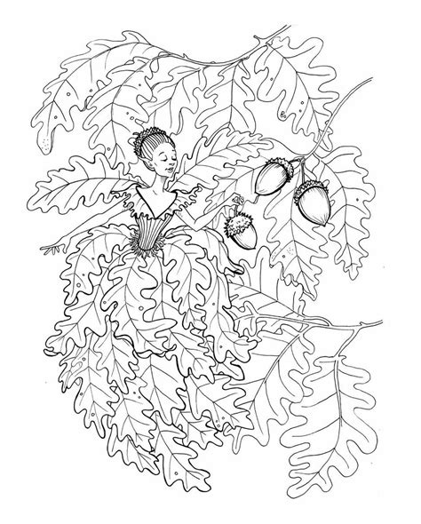 pin  adult coloring fairy