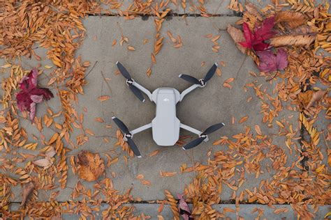 dji mavic mini review  perfect starter drone android central