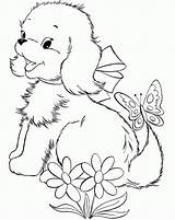 Coloring Pages Dog Small Cute Puppies Popular sketch template