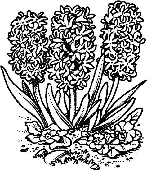 spring spring coloring pages  adults  teenagers spring