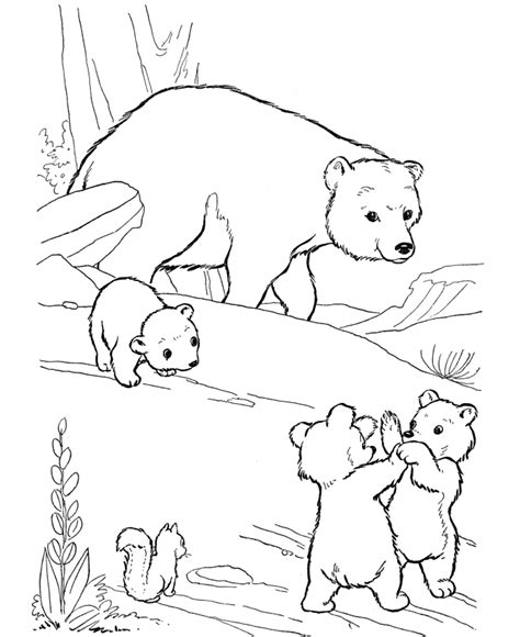 bear coloring pages  toddlers coloring pages