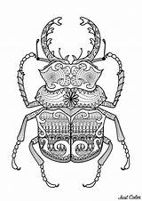 Coloring Zentangle Pages Beetle Adult Mandala Color Kids Patterns Adults Print Beetles Printable Colouring Children Animal Incredible Book Extraordinary Coloriage sketch template