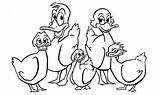Patos Familia Colorir Pato Imprimir Ducks Fairytale Nadando sketch template