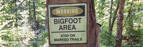 Hunting Bigfoot 4 Things You Learn Chasing Fiction