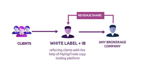 succeed  forex white label business mydigitrade