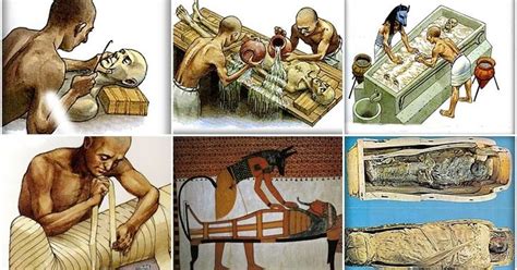 ancient egyptian mummification antico egitto egitto illustrazioni
