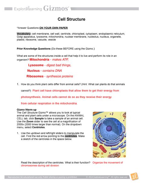 cell structure se  cell structure answer questions