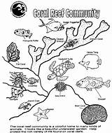 Reef Worksheeto sketch template
