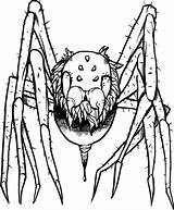 Spider Scary Kids Drawing Hero Monster Getdrawings Rpg Adventures Queen Beast Maps Hard Dire sketch template