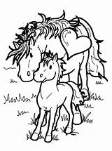Kleurplaat Paarden Paard sketch template