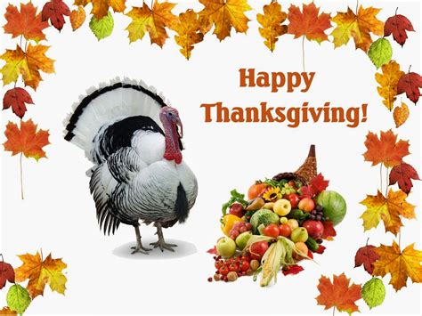 almost thanksgiving quotes funny quotesgram