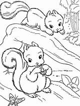 Squirrel Squirrels Divyajanani sketch template
