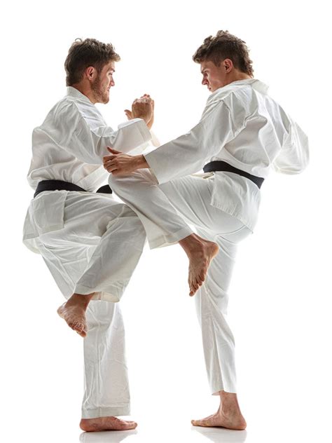 karate moves  guide   basic blocks strikes  kicks