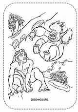 Tarzan Vocês Imprima Trouxemos Terk sketch template