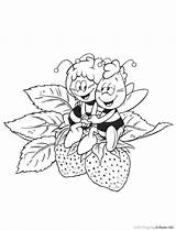 Biene Maja Maya Abeille Ausmalbilder Colorat Malvorlagen Bienen Ausmalen Minnie Kinder Planse Uitprinten Zeichnen Letzte Bezoeken Downloaden Freunde Q1 Bord sketch template