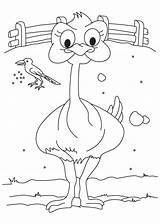 Cartoon Ostrich Coloring Farm House sketch template
