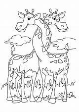 Giraffes Entwined Ausmalbild Pinecone Coloringhome sketch template