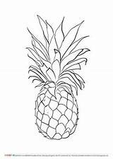 Coloring Pineapple Pages Printable Stencil Stencils sketch template