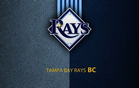 wallpaper wallpaper sport logo baseball tampa bay rays images