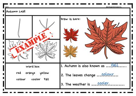 directed drawing autumn fall theme step  step art writing packet