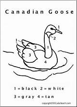 Goose Coloring Canada Color Getcolorings Number Canadian sketch template