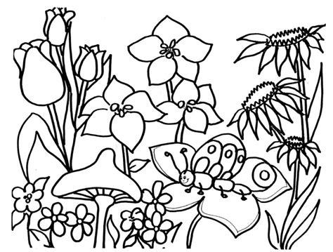 printable spring coloring pages updated   places  find