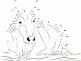 Cow Dots Mucca Unisci Puntini sketch template
