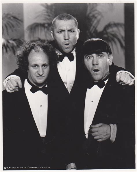 stooges tuxedos moe larry curly  vintage  matted bw tv photo