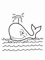 Whale Coloring Pages Ocean Animals Kids Adorable sketch template