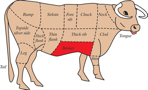 diagram    butcher  beef  hubpages