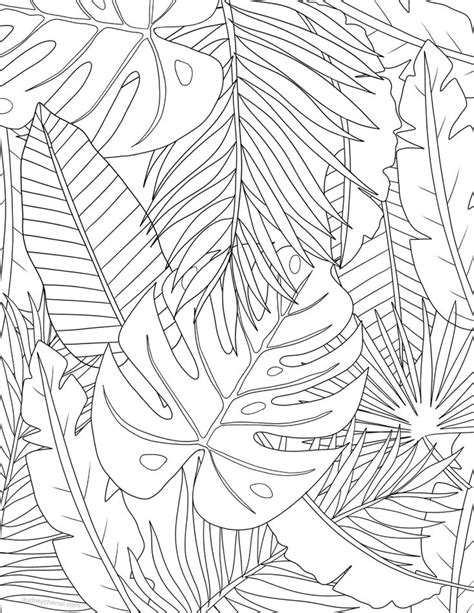 tropical leaves coloring page audrey chenal leaf coloring page