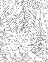Leaves Pattern Chenal Mural Jungle Mostera Quilling Audreychenal Monstera sketch template