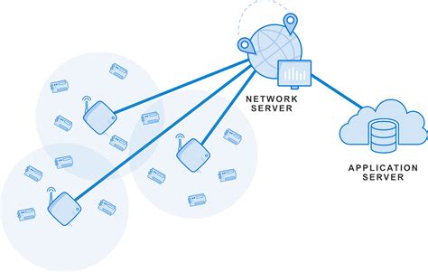 network   network