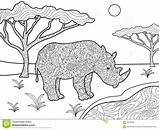 Coloring Rhinoceros Vector Adults Book Zentangle Adult Illustration sketch template