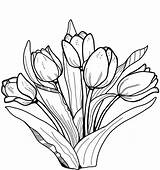 Lalele Tulip Tulips Colorat Tulipas Tulipany Tulipan Tegninger Tulipaner Tulpe Tulpen Flori Desene Supercoloring Tulipa Kolorowanka și Planșe Malvorlagen Realistic sketch template