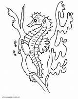 Coloring Pages Sea Animals Horses Printable sketch template
