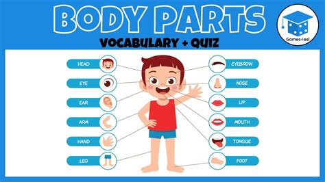 body parts vocabulary  quiz  kids youtube
