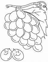Coloring Grapes Pages Drawing Sleeping Two Color Grape Colorluna Luna Online sketch template