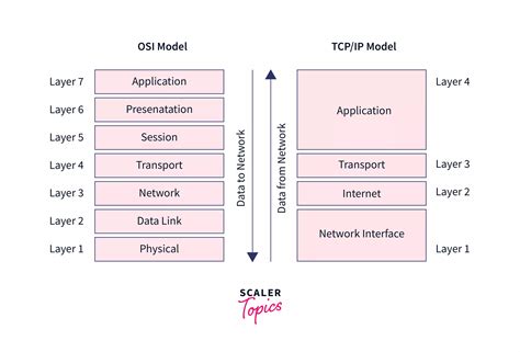 application layer  osi model scaler topics