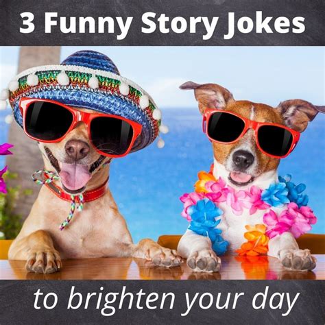 short funny story jokes  brighten  day roy sutton